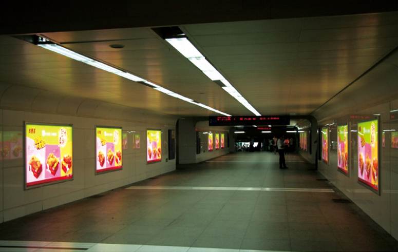 Tunnel light
